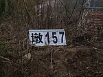 165ŵ̨